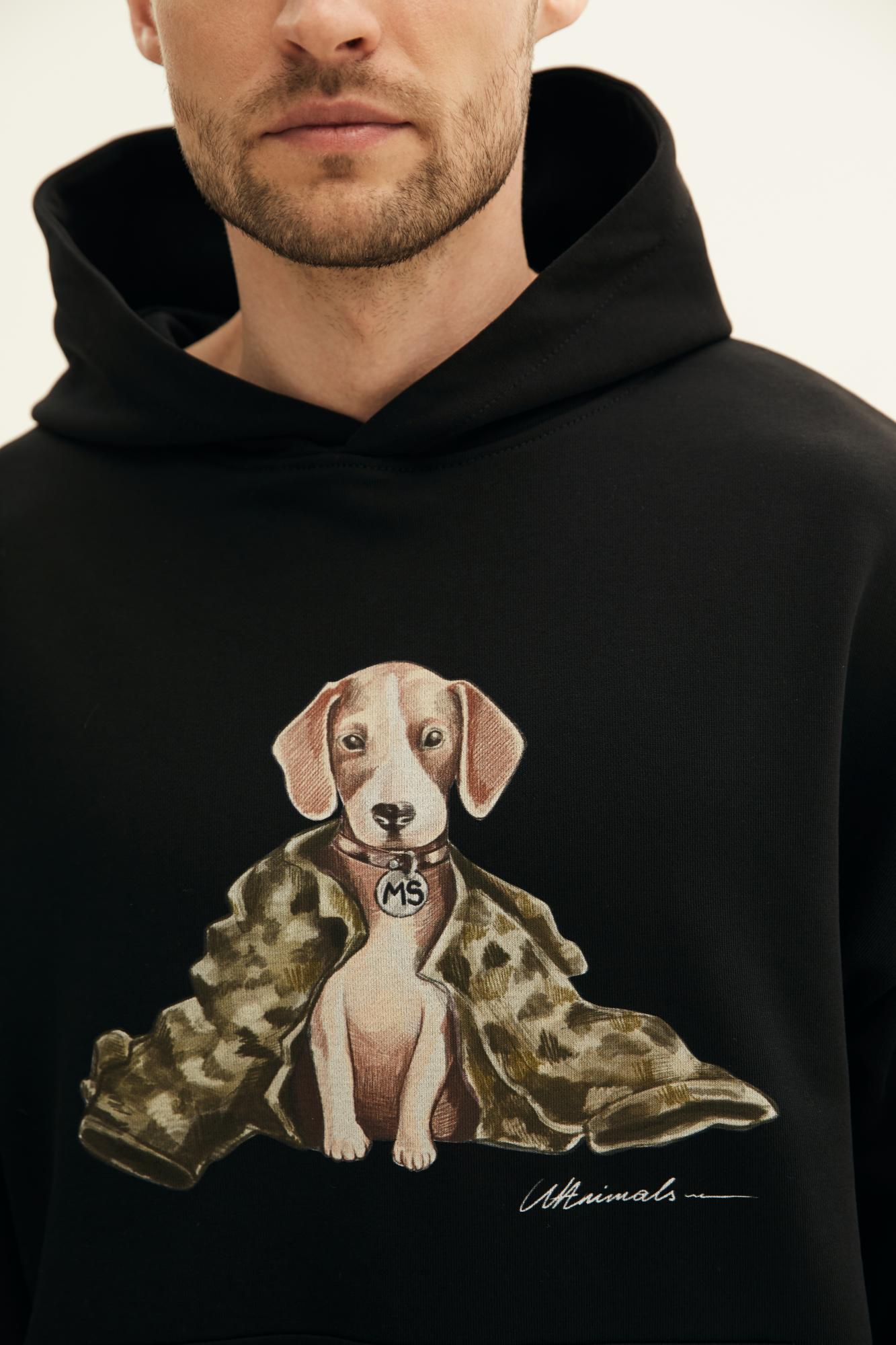 З користю для себе: українців просять допомогти безпритульним тваринам